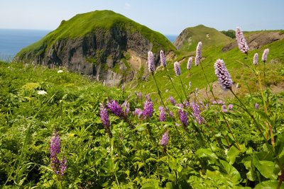 🏞️ 모모이와 전망대